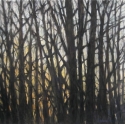 Dawn