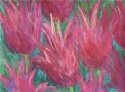Pink Tulips 3
