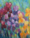 Iris Garden 1