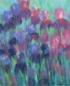 Iris Garden 2