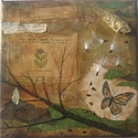 Milkweed