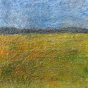 Field 1