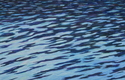 Reflection