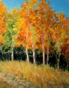Autumn Trees, Mills Reservation