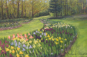 Presby Gardens in May