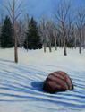 Anderson Park in Winter
