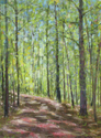 Summer Path, Mills Reservation