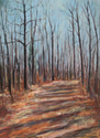 Winter Path, Mills Reservation