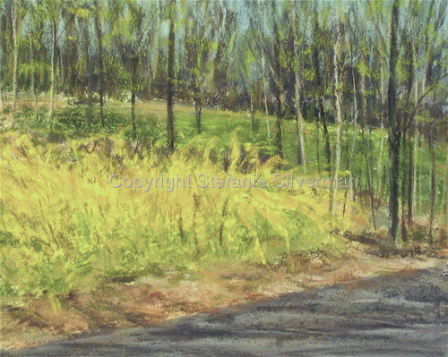 Painting-Pastels-Forsythia by the Road