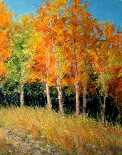 Painting-Pastels-Autumn Trees, Mills Reservation
