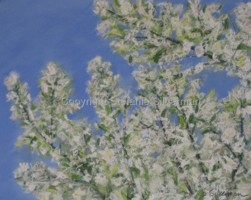 Painting-Pastels-Spring Blossoms