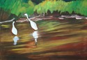 Egrets