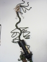 Threatened%20Fruit (thumbnail)
