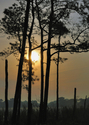 sunrises -  Photography