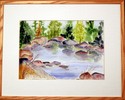Rocks in the Pond