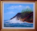 The Rockey Coast