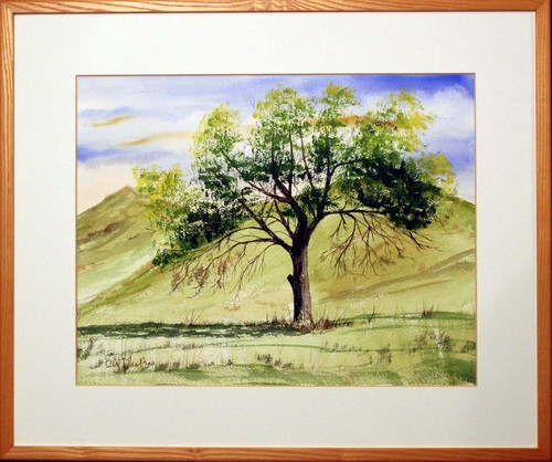A Lone Tree