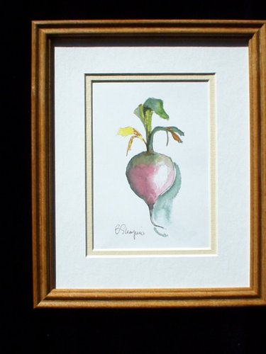 A Turnip
