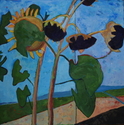 Sukie Curtis - Sunflowers Late September