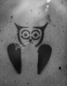 Wise%20Smoker (thumbnail)
