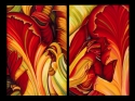 Susan Kennicott - lg petal party diptych