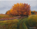 Canadian Landscape I Canadian%20Landscape%20I (thumbnail)