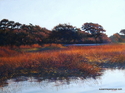 Marsh in Evening Light Marsh%20in%20Evening%20Light (thumbnail)
