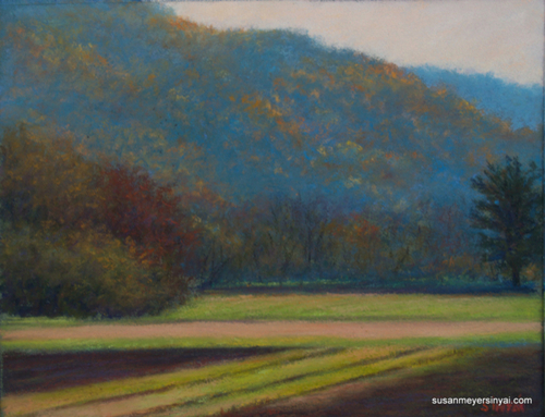 Field%20Study (large view)