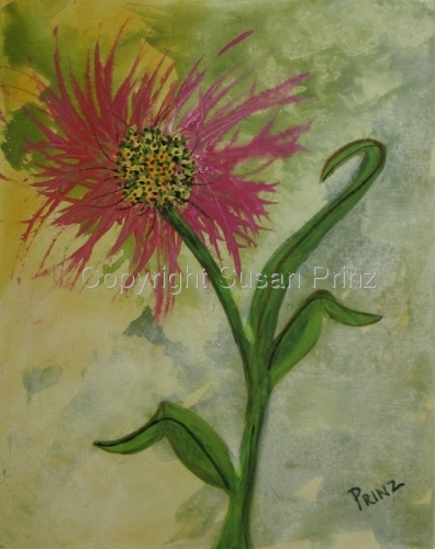 Wild Flower 1 amp 2