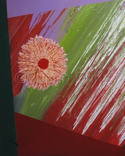 Red Green and Purple