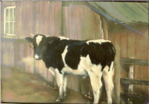Painting-Animals-cold morning