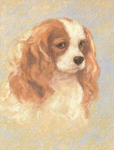 Painting-Animals-Portrait of Dog