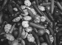 Photography--Black & White-AbstractMixed Veggies