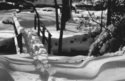 Photography--Black & White-LandscapeSnow Covered Foot Bridge