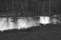 Photography--Black & White-LandscapeWooden Float