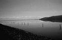 Photography--Black & White-LandscapeWooden Posts at Salt Lake