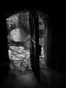 Photography--Black & White-FigurativeOde to the Human Face
