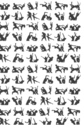 Photography--Black & White-FigurativeHieroglyphics