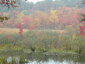 Photography--Color-LandscapeLake Lackawanna I