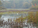 Photography--Color-LandscapeLake Lackawanna II