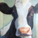Holstein%20Series%2C%20%22Tranquil%20Cow%22 (thumbnail)