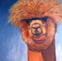 %22Alpaca%20Looming%20In%22 (thumbnail)