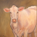 Charolais%20Series%2C%201 (thumbnail)
