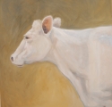 Charolais%20Series%2C%20II (thumbnail)