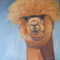 %22Alpaca%20Looming%20In%22 (thumbnail)