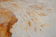 Painting--Oil-AbstractFLOOD PLAIN