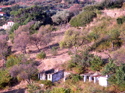 From my window- olive groves and huts From%20my%20window-%20olive%20groves%20and%20huts (thumbnail)