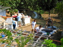 Grapes to Wine! Grapes%20to%20Wine%21 (thumbnail)