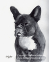 HOLIDAY SPECIAL - Custom Black and White Pet Portrait HOLIDAY%20SPECIAL%20-%20Custom%20Black%20and%20White%20Pet%20Portrait (thumbnail)