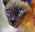 Original Watercolor Siamese Cat painting Svetlana Novikova Original%20Watercolor%20Siamese%20Cat%20painting%20Svetlana%20Novikova (thumbnail)